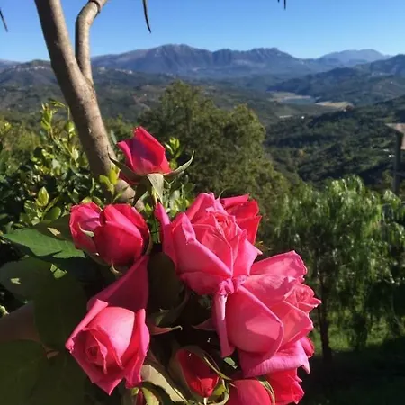 Casa Giardino * Rutino